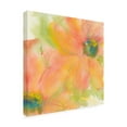 thumbnail image 2 of Chris Paschke 'Olive Poppy II' Canvas Art, 2 of 3
