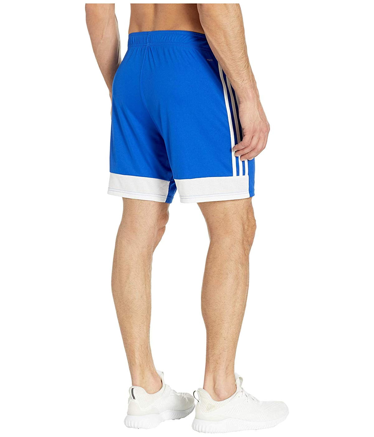 Bold Blue/White adidas Shorts Tastigo 19