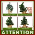 thumbnail image 2 of Molinillo de mesa con forma de miniárbol de Navidad artificial, pino de Navidad, 20 cm, 2 of 7