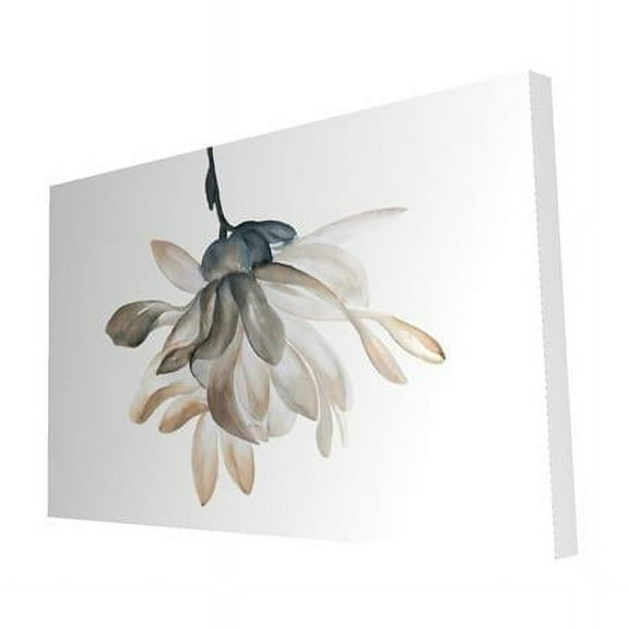Begin Home Decor 2080-2030-FL279 20 x 30 in. Softness-Print on Canvas
