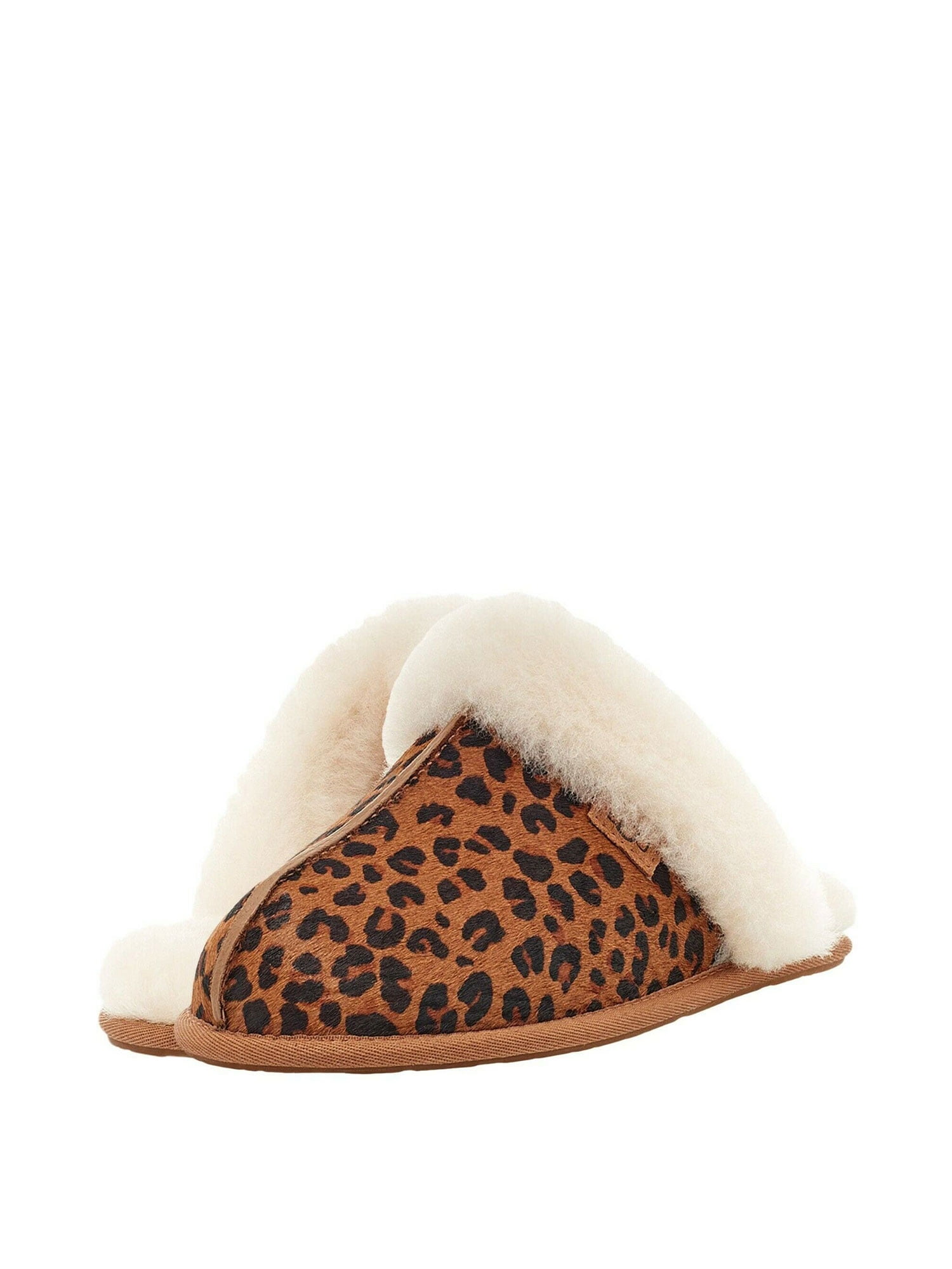 ugg scuffette slippers office