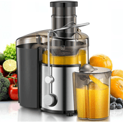 800W Centrifugal Juicer with Extra Wide Mouth Feed Chute, Dual Speed Control, Stainless Steel, BPA-Free, Silver