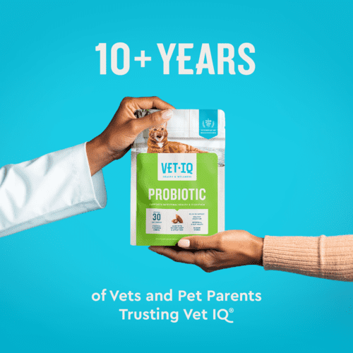 Vet IQ Probiotic Health Supplement for Cats, Chicken Flavored Crunchy Chews, Approx. 30 Day Supply