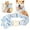 Blue, variant on Didog Fabric Dog Collar with Removable Flower Adjustable for Small Medium Large Dogs