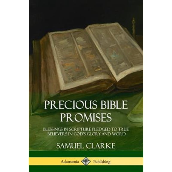 Pre-Owned Precious Bible Promises: Blessings in Scripture Pledged to True Believers in God's Glory and Word (Paperback) 1387949616 9781387949618