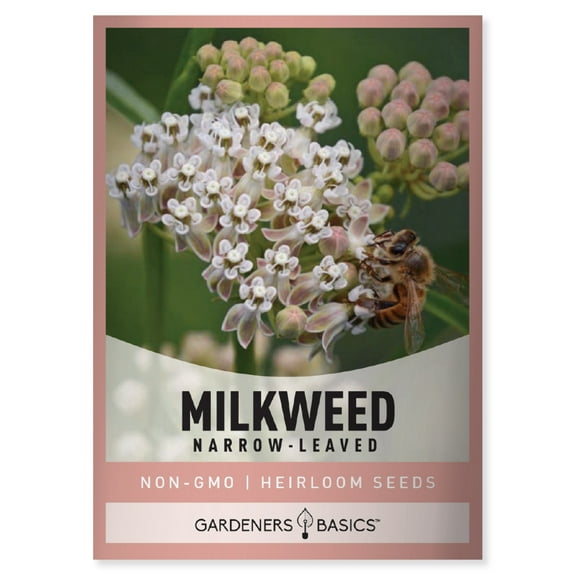 Narrow-Leaved (Whorled) Milkweed Seeds