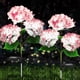 thumbnail image 3 of Luces de Jardín, Iluminación Paisajística, Luces Combinadas con Cambio de Color, Luces Solares Inalámbricas con Estaca para Jardín, Ideales para Cercas, Patios, Jardines y Decoración de Macizos de Fl, 3 of 7