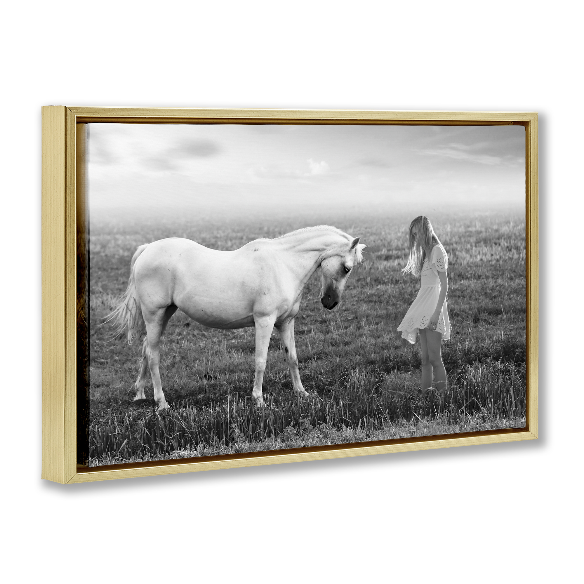 Her White Horse Gold Framed Floater Canvas Wall Art, design by Ata Alishahi