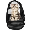 thumbnail image 2 of Pet Carrier Soft-Sided Carriers for Cat Carriers Dog Carrier for Small Medium Cats Dogs Puppies Pet Carrier Airline Approved up to 15 Lbs Cat Dog Pet Travel Carrier (Medium,Black), 2 of 7