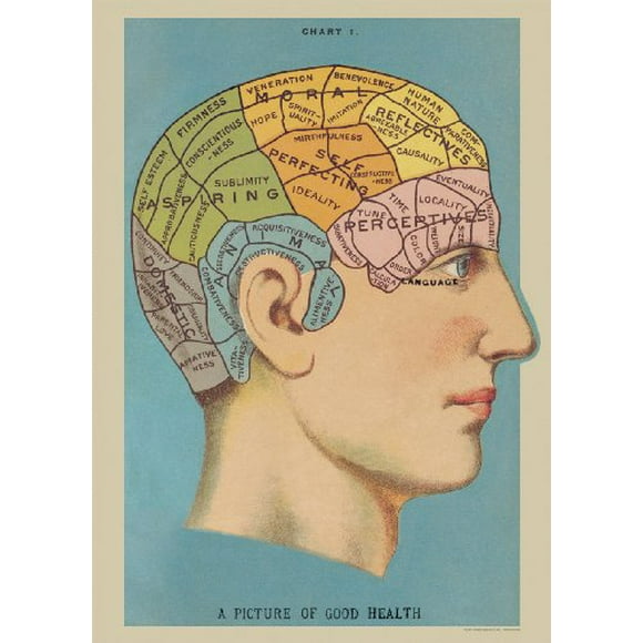 Affiche de Phrénologie Image d'Art Vintage de Bonne Santé