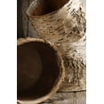 thumbnail image 3 of Birch Bark Planter W/ Plastic Liner 7X6 7in. Wide & 6in. Tall, 3 of 3