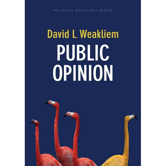 Political Sociology: Public Opinion (Paperback)