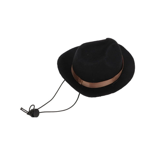 Costume de Chien, Chapeau de Cowboy Mignon pour Animaux de Compagnie, Fidèle à Sa Promesse