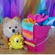 thumbnail image 3 of Juguete para Perro Snuggle Puppy Tender-Tuffs Delfín de Peluche Pequeño, 3 of 6