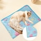 thumbnail image 5 of Manta suave para perro | Manta de franela con estampado de patas de 76 x 50 cm | Manta cálida y acogedora para cachorros, gatos, perros y mascotas pequeñas | Tapete lavable y duradero para sies, 5 of 5