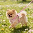thumbnail image 4 of Deeceymbur Adjustable Chest Ties Vests Style Dog Cats Leash Suitable For Small To Medium Sized Dogs And Cats For Walks And Travel, 4 of 6