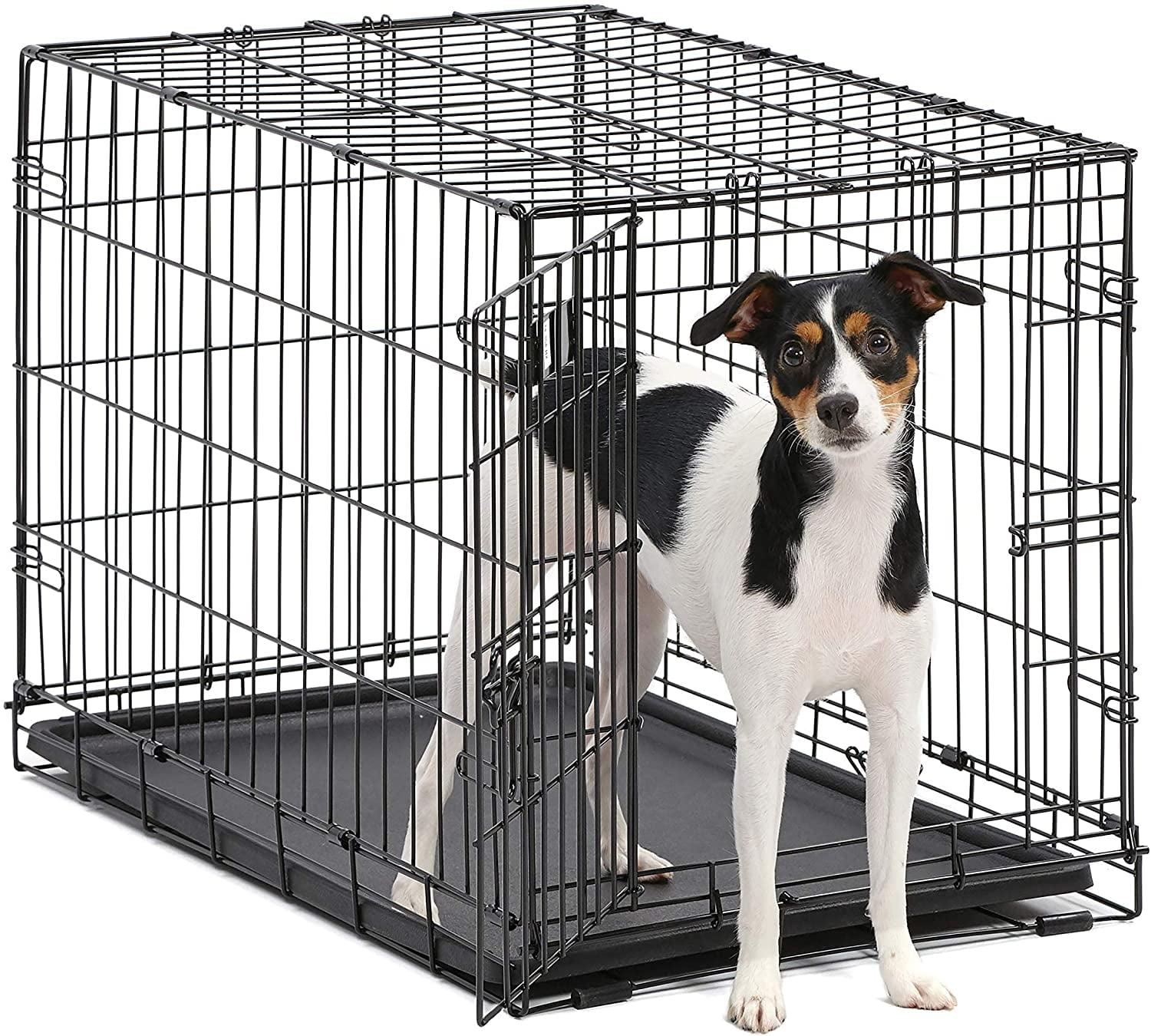 MidWest Homes for Pets Ovation Single Door Dog Crate, 31.25-Inch by Mi