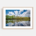 thumbnail image 2 of Duck Pond at Edgewood Park, New Haven 01 - Photography Nature Landscape Lake Scenic Water Woods Unframed Wall Art Print 8 x 12 inches, 2 of 7