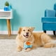 thumbnail image 3 of ¡Toy Ball Chuckit! Vaso de interior para perros, 3 of 10