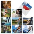 thumbnail image 1 of M6481TYG Doggie In The Window: 10 Assorted Thank You Note Cards Featuring Hilarious Canine Passengers Enjoying Their Car Ride in the Fresh Air, w/White Envelopes., 1 of 1