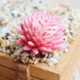 thumbnail image 4 of Plantas suculentas simuladas Suministros creativos de diseño de bricolaje Accesorios para arreglos florales Fabricantes de flores simuladas Plantas simuladas A1 Verde<无品牌> ANGGREK Otros, 4 of 4