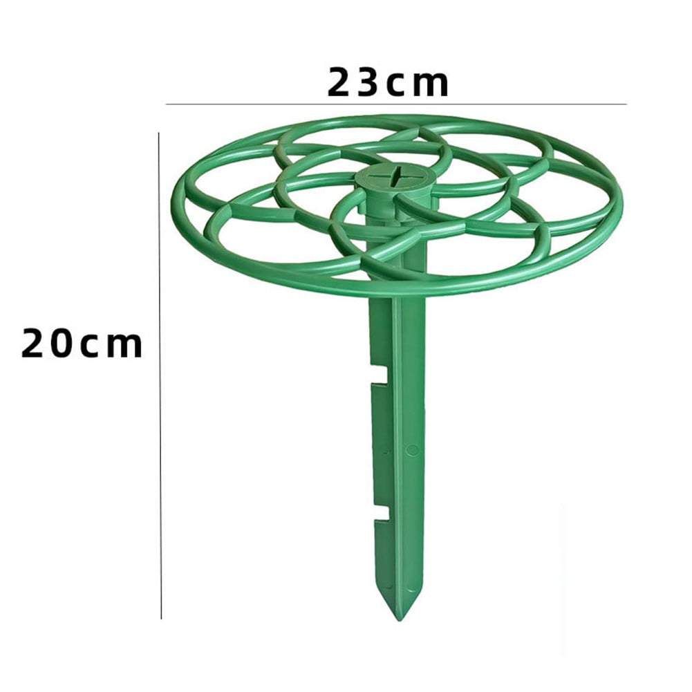 SPRING Efficient Strawberry Plant Supports 10 Racks To Clean And Healthy Growth