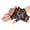 48#Black, variant on Women's 80s Lace Opera Tea Party Gloves Bridal Wedding Fingerless Prom Gloves Costume Accessories White One Size