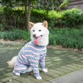 thumbnail image 4 of Recovery Suit for Dogs Cats Striped Dog Recovery Onesie Full Coverage Dog Bodysuit Long Sleeve 4 Legs Pajamas for Medium Large Dogs, 4 of 7