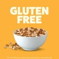 thumbnail image 3 of Post Cinnamon PEBBLES Breakfast Cereal, Gluten Free, On-the-Go Snack, 2 oz Individual Cup, 3 of 12