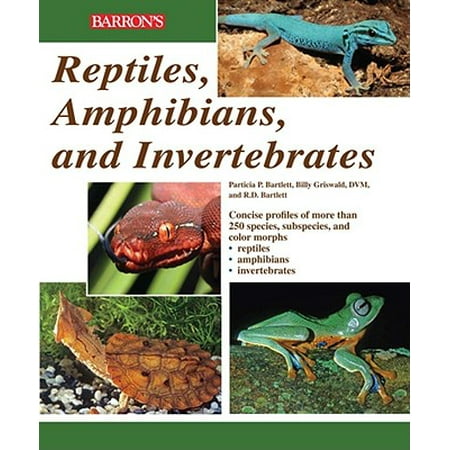 Reptiles Amphibians And Invertebrates An