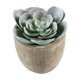 thumbnail image 3 of BESTYASH 5Ud Plantas Suculentas Falsas Para Decorar Y Mesas En Material Plástico, 3 of 6