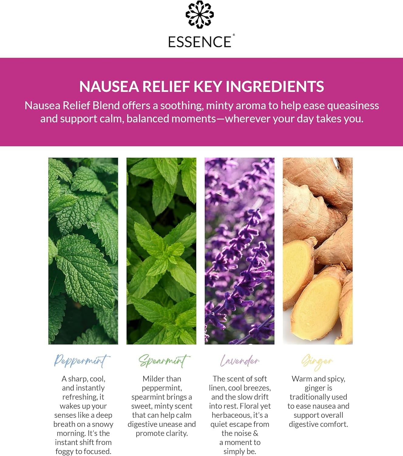 Essence Refresh Kit – Nausea Relief Essential Oil Blend – Black Aromatherapy Pod
