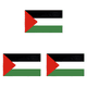 thumbnail image 1 of F909 Palestina Palestina Palestina (60*90cm), 1 of 2