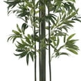 thumbnail image 5 of 6' Bamboo Silk Tree, Green Trunks, 5 of 7