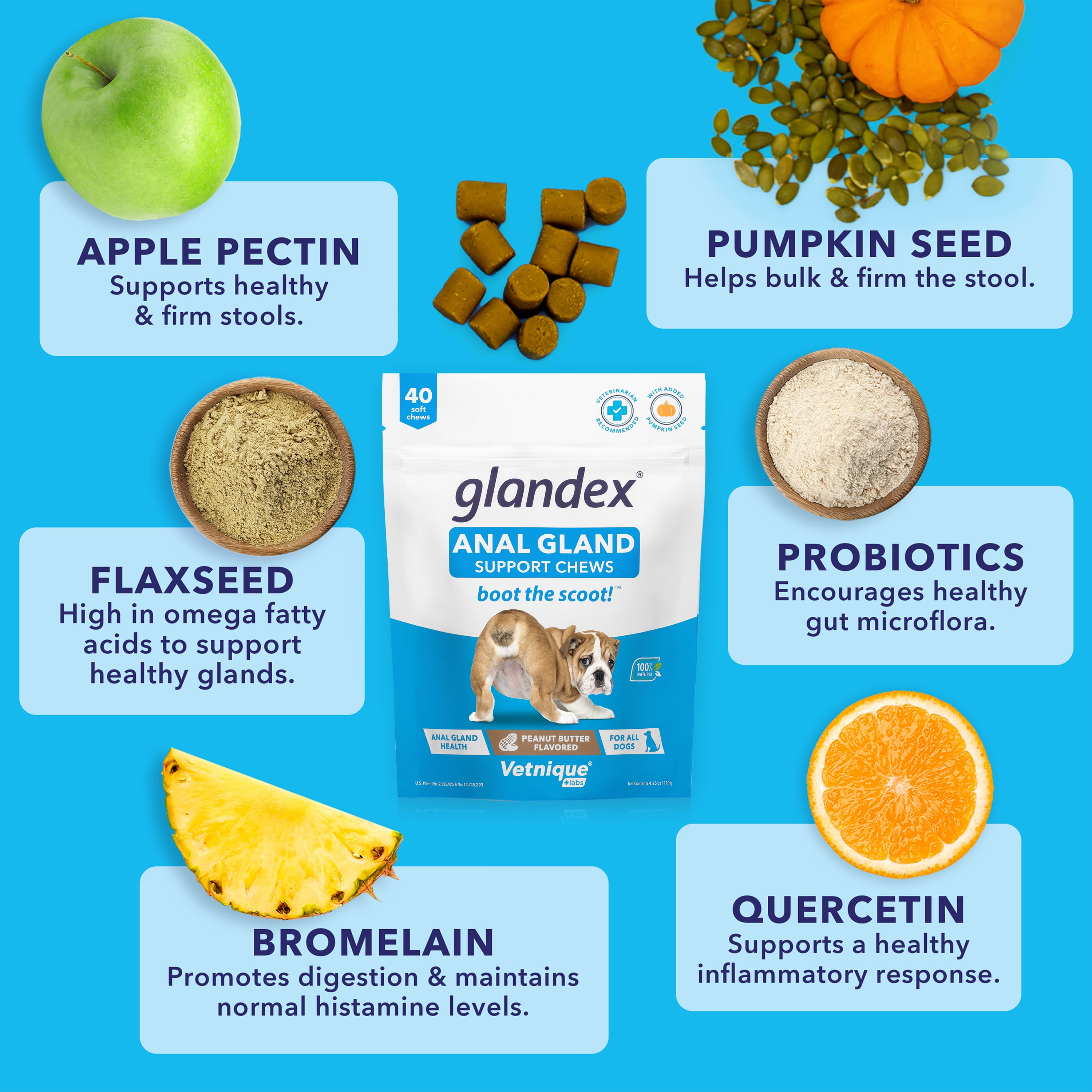 Glandex Anal Gland Soft Chew Treats with Pumpkin for Dogs with Digestive  Enzymes, Probiotics Fiber Supplement for Dogs - 60ct Peanut Butter Chews -  Walmart.com