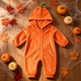 thumbnail image 2 of Baby Kids Halloween Onesie Pumpkin Cosplay Costume for Boy Girl Soft Fleece Plush Flannel Jumpsuit Zip Up Hoodies Casual Party Outfits Funny One Piece with Pockets Orange 9 12-18 Months, 2 of 6