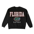 thumbnail image 6 of Women's Gameday Couture Black Florida Gators Oversized Level Up Black Label Premium Sweatshirt, 6 of 6