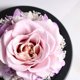 thumbnail image 4 of Rosa eterna de 13x12 cm, rosas inmortales reales preservadas para del , de , cumpleaños, bodas, fiestas Rosa púrpura Colco Artesanías de rosas frescas conservadas, 4 of 6
