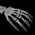 thumbnail image 7 of Halloween Outdoor Decorations Skeleton Stakes, Realistic Scary Skull Head, and Hands Arms with Crow Set for Yard Lawn Graveyard Garden Stakes for Lawn Stakes Garden Halloween Skeleton Decoration, 7 of 7