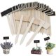 thumbnail image 1 of Vetable En Labels, Mini Board Plant Labels For Heilwiy Flower Pot Potted, 1 of 5