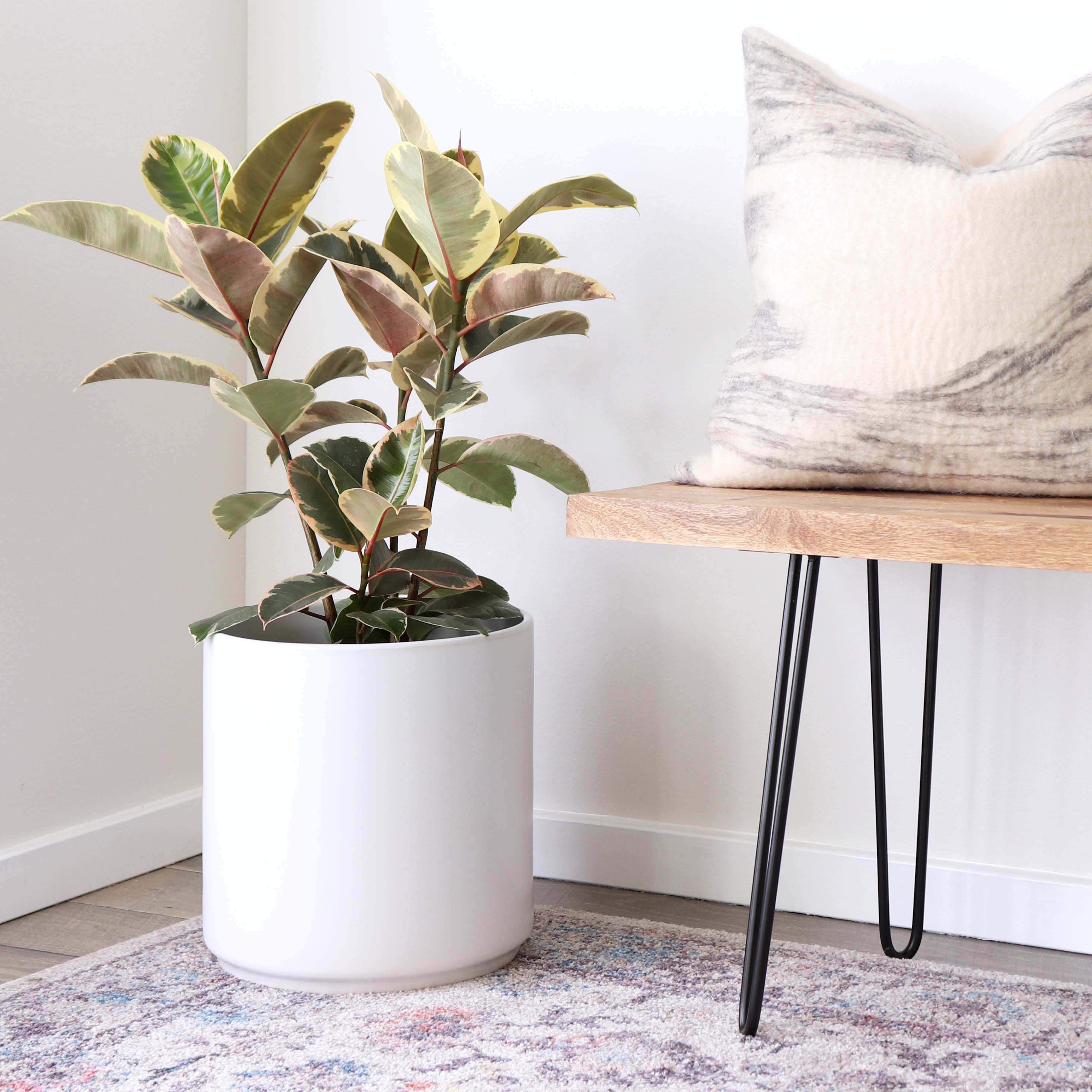 Peach &amp; Pebble 8 inch + 10 inch Modern Ceramic Planter Set