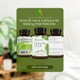 thumbnail image 3 of Pata de Vaca Té (Cow's Foot Tea) – 24 Bags – 100% Natural Infusion – Vegan, Non-GMO, Gluten-Free + Pata de Vaca Capsules – 1500 mg Per Serving, 90 Veggie Caps – Organically Grown – 100% Natural, Prem, 3 of 9