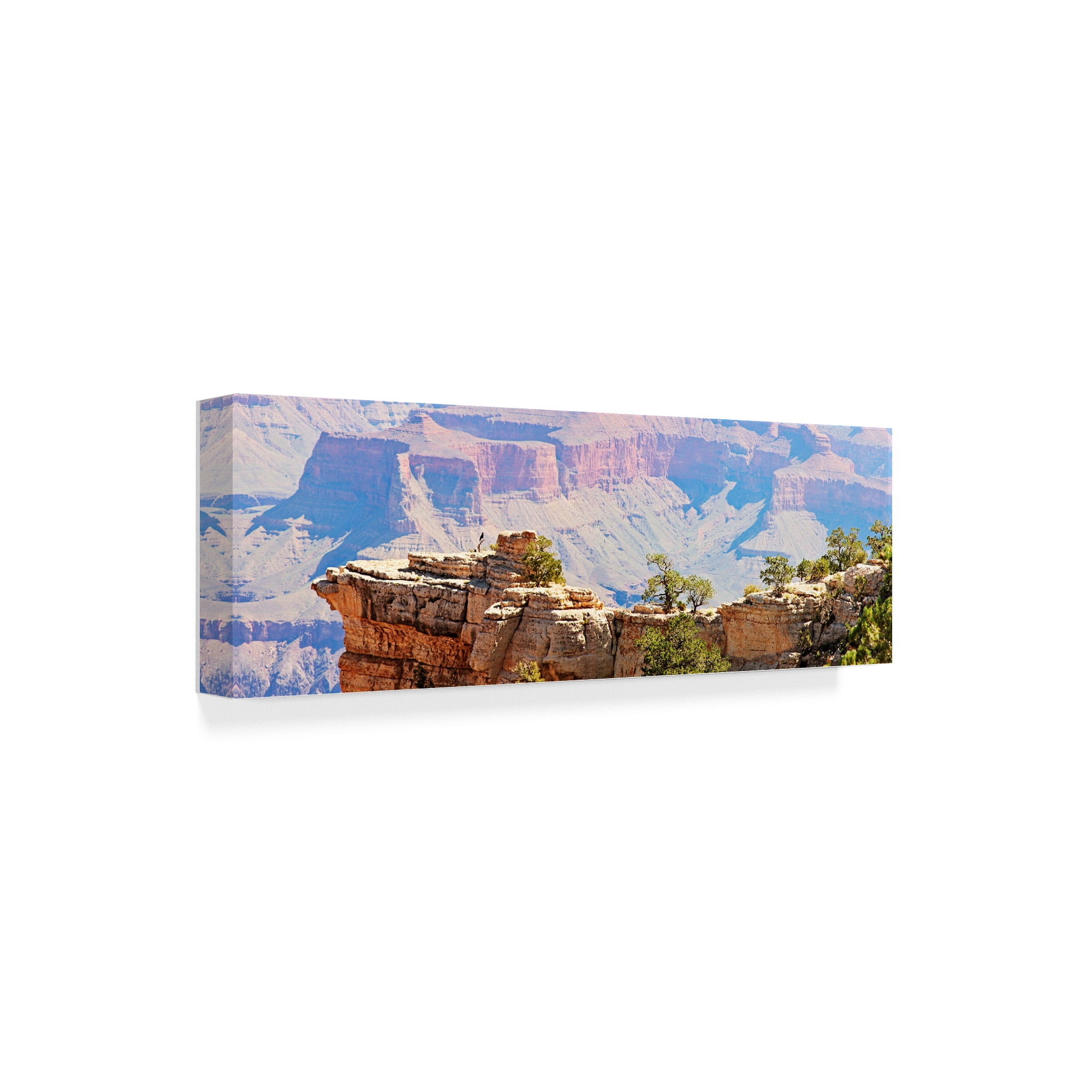 Trademark Fine Art 'Grand Canyon Panorama III' Canvas Art by Sylvia Coomes