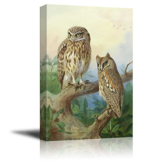 wall26 - Beautifully Drawn Owls Resting on a Tree Branch - Canvas Art Home Art - 24x36 inches