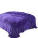 thumbnail image 2 of Super Soft Warm Solid Warm Fleece Blanket Throw Rug Sofa Bedding, 2 of 6