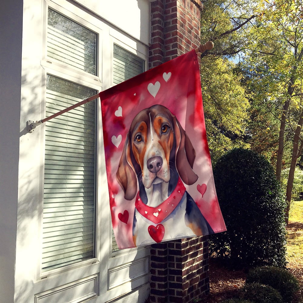 American English Coonhound My Valentine House Flag 28 in x 40 in
