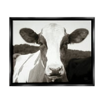 Stupell Industries Cow Portrait Farm Landscape Animals & Insects Photography Black Floater Framed Art Print Wall Art, 21 x 17