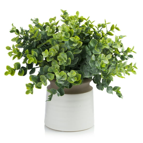 Enova Home Artificial Frosted Green Eucalyptus Grass Topiary Arrangement in Round Tapered Ceramic Pot with Faux Water - 11"H x 10"W x 10"D