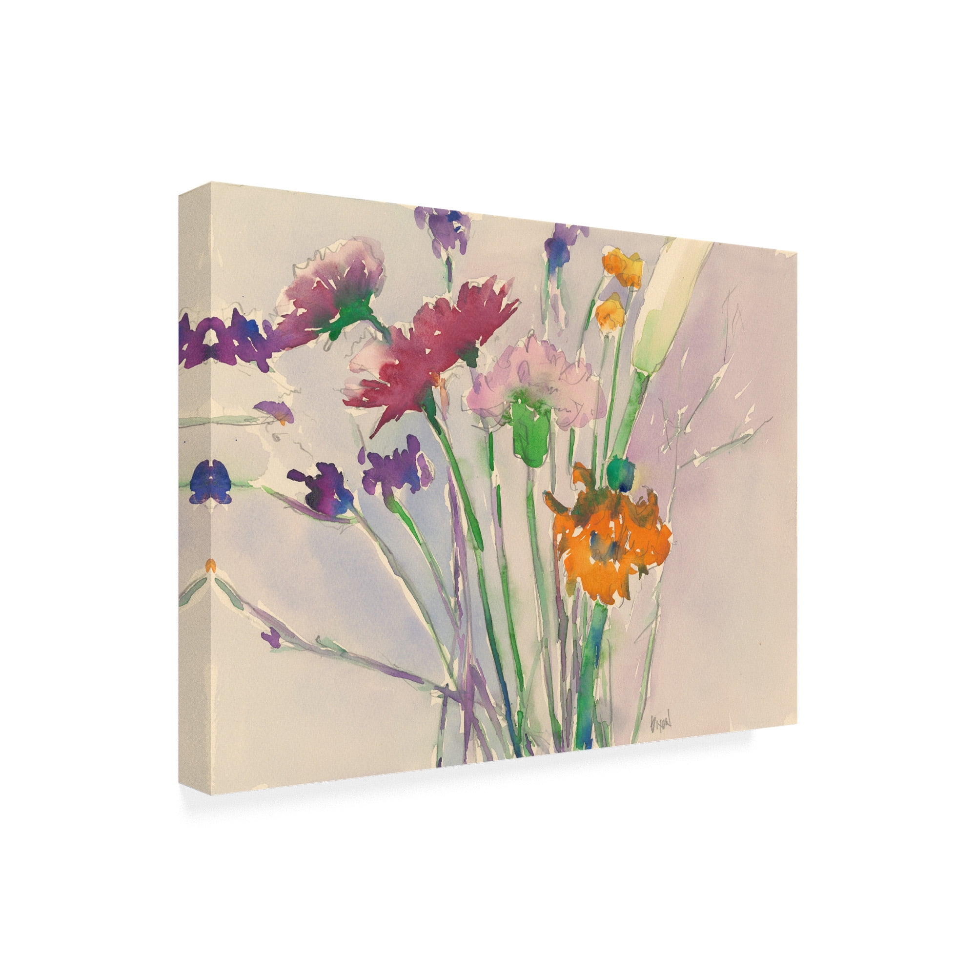 Trademark Fine Art 'Wild Flower Cuttings' Canvas Art by Samuel Dixon