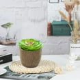 thumbnail image 3 of 4 Uds flor de simulación mini bonsái suculento decoración creativa hogar planta verde artificial plantas en macetas, 3 of 6